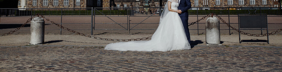 young wedding couple holding hands, groom and bride