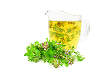 Fresh Wild Thyme Tea in a Glass with a Bunch of Thyme Herb. Also Tymus Vulgaris, Common, German or Garden Thyme, Isolated on White Background.