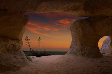 fred cave