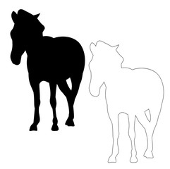 vector, isolated silhouette horse