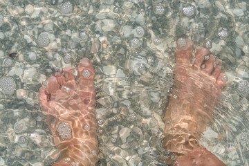 Flat top view down of woman's bare feet under shallow green Florida beach Sanibel Island water with...