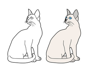 vector, isolated cat