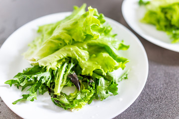 Closeup of fresh raw, expensive local butter lettuce on two white plates in Iceland, vibrant green color, salad