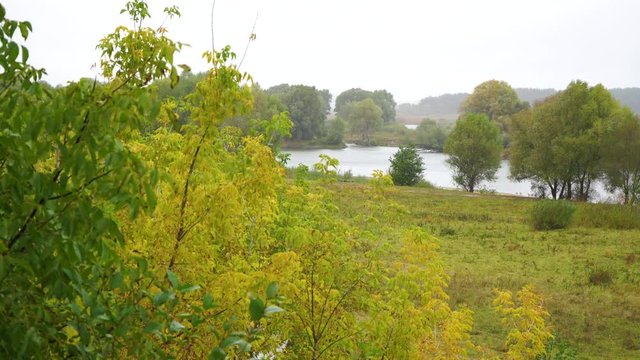 Rainy autumn cold weather. Heavy rain falling down in countryside landscape. Real time 4k video footage.