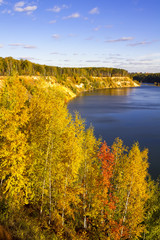 Wonderful forest landscape on a sunny day. Colorful autumn scene