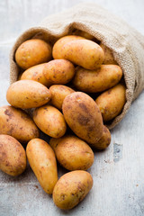 A bio russet potato wooden vintage background.