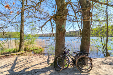 Fototapeta premium bicycle in a nature park