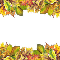 Colorful autumn frame with oak, maple and chestnut leaves.  Watercolor illustration.