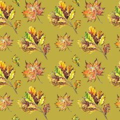 Seamless pattern with oak and maple leaves.  Watercolor on green background.