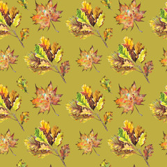 Obraz premium Seamless pattern with oak and maple leaves. Watercolor on green background.