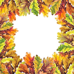 Colorful autumn frame with oak leaves. Watercolor illustration.