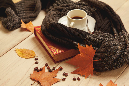 Café caliente y lectura en otoño