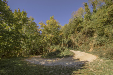 Fototapeta na wymiar Strada sterrata di montagna che passa in mezzo al bosco