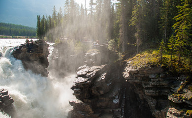Large waterfall crashes through gorge at Athabasca Falls 