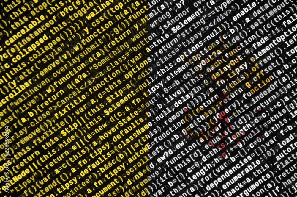 Poster vatican city state flag is depicted on the screen with the program code. the concept of modern techn