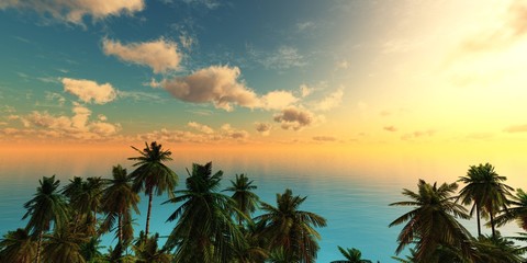 Fototapeta na wymiar Tropical beach with palm trees at sunset