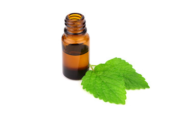 Lemon Balm (Melissa) Essential Oil in a Bottle. Also Melissa Officinalis, Common Balm Mint. Isolated on White Background.