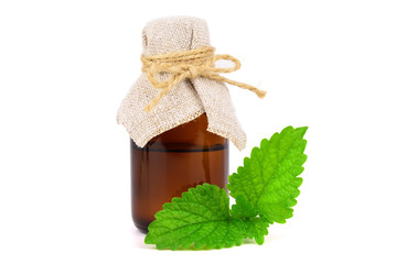 Lemon Balm (Melissa) Essential Oil in a Bottle. Also Melissa Officinalis, Common Balm Mint. Isolated on White Background.