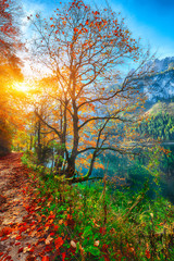 Beautiful view of idyllic colorful autumn scenery in Gosausee lake Austria