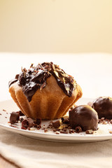 Fresh chocolate chip muffin close up.