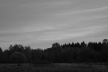 Landschaft Heide Bäume Wiesen Wolken