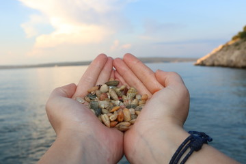 hand holding seashell on the beach