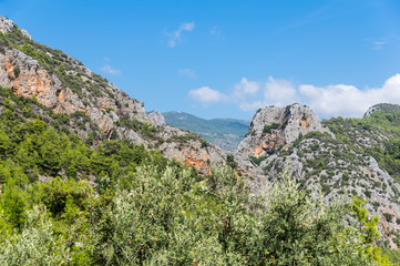 Alanya taurus mountains with trees