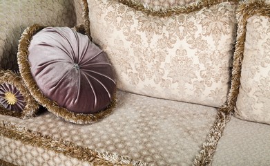 Elegant couch cushions and throw pillows