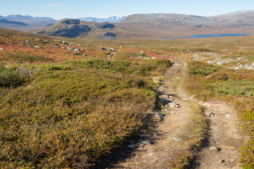 Fototapeta na wymiar Trekking route in Lapland
