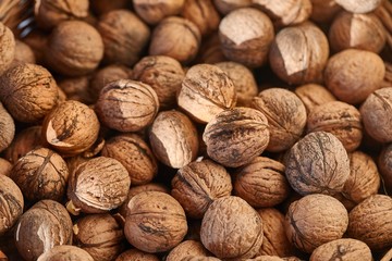 Walnuts in a pile