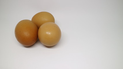 Egg chicken isolated on white background