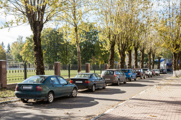 Cars parked in a row standing in an tree alley near the stadium