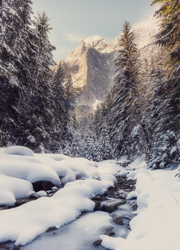 Fantastic winter ladscape. Majestic alpine mountain on the background. Dramatic scene. Natupe background. Retro Style. Instagram Filter