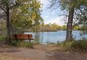 Wooden Bench Looking Out Across Lake in Fall