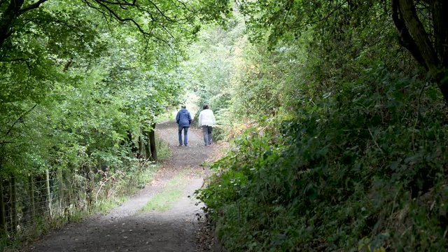 wo unidentifiable Women companions with backs to the camera walk a sunny pathway framed by dark vegetation in Powys County, Wales