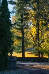 Fall