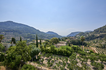 Fototapeta na wymiar Spain. Mallorca. Valdemossa Surroundings of the Carthusian Monastery