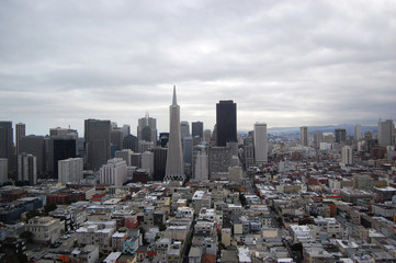 San Fransisco Skyline viewed from Coit Tower, San Fransisco, California, USA