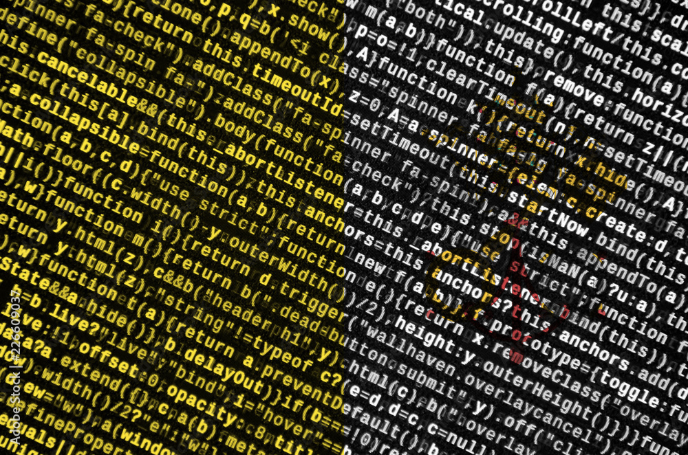 Poster vatican city state flag is depicted on the screen with the program code. the concept of modern techn