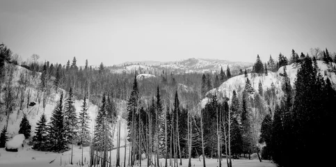 Papier Peint photo Forêt dans le brouillard Montagnes canadiennes noir et blanc