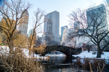 Gapstow Bridge in New York Winter