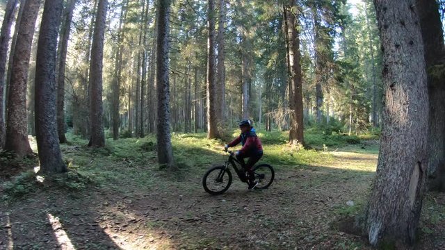 Female mountain biker riding on a forest trail in the sun.