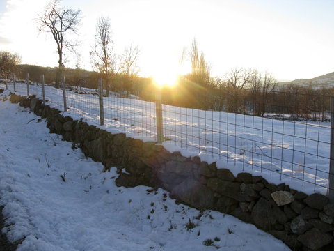 BOSQUE NEVADO ALTA MONTA&Ntilde;A