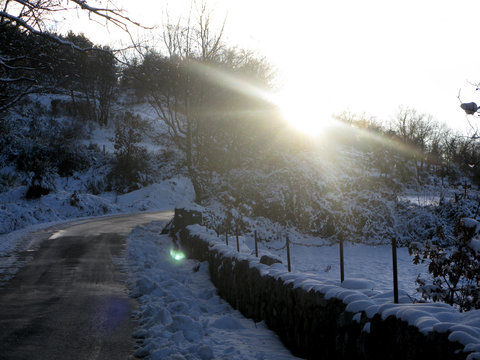 BOSQUE NEVADO ALTA MONTA&Ntilde;A