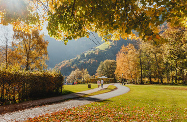 Sunny Autumn View. Park at the Zell lake. Austria. Wonderful nature landscape. Concept of active rest on outdoor. picturesque scene with colorful leafes on the trees under sunlight at sunset © jenyateua