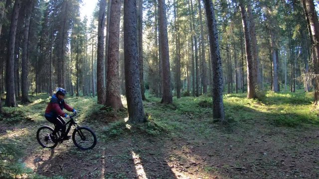 Slo mo. Female mountain biker riding on a forest trail in the sun.