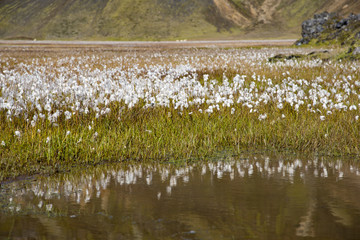 Scenes from hiking in Landmannalaugar