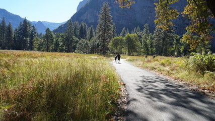 Fototapeta na wymiar Father and son walking through the meadows of Yosemite Valley.