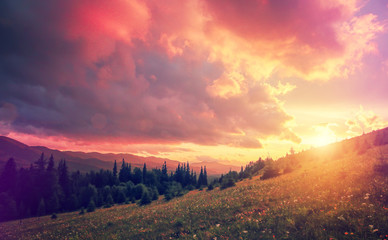 Naklejka na ściany i meble fantastic colorful landscape. overcast clouds glowing in sunlight over the mountain meadow. picturesque nature view. dramatic scene. artistic creative image. soft light effect. instagram filter.