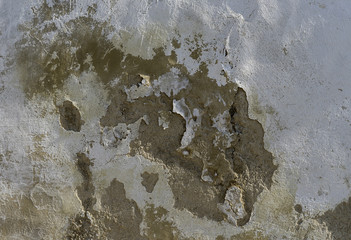 Old wall damage close up